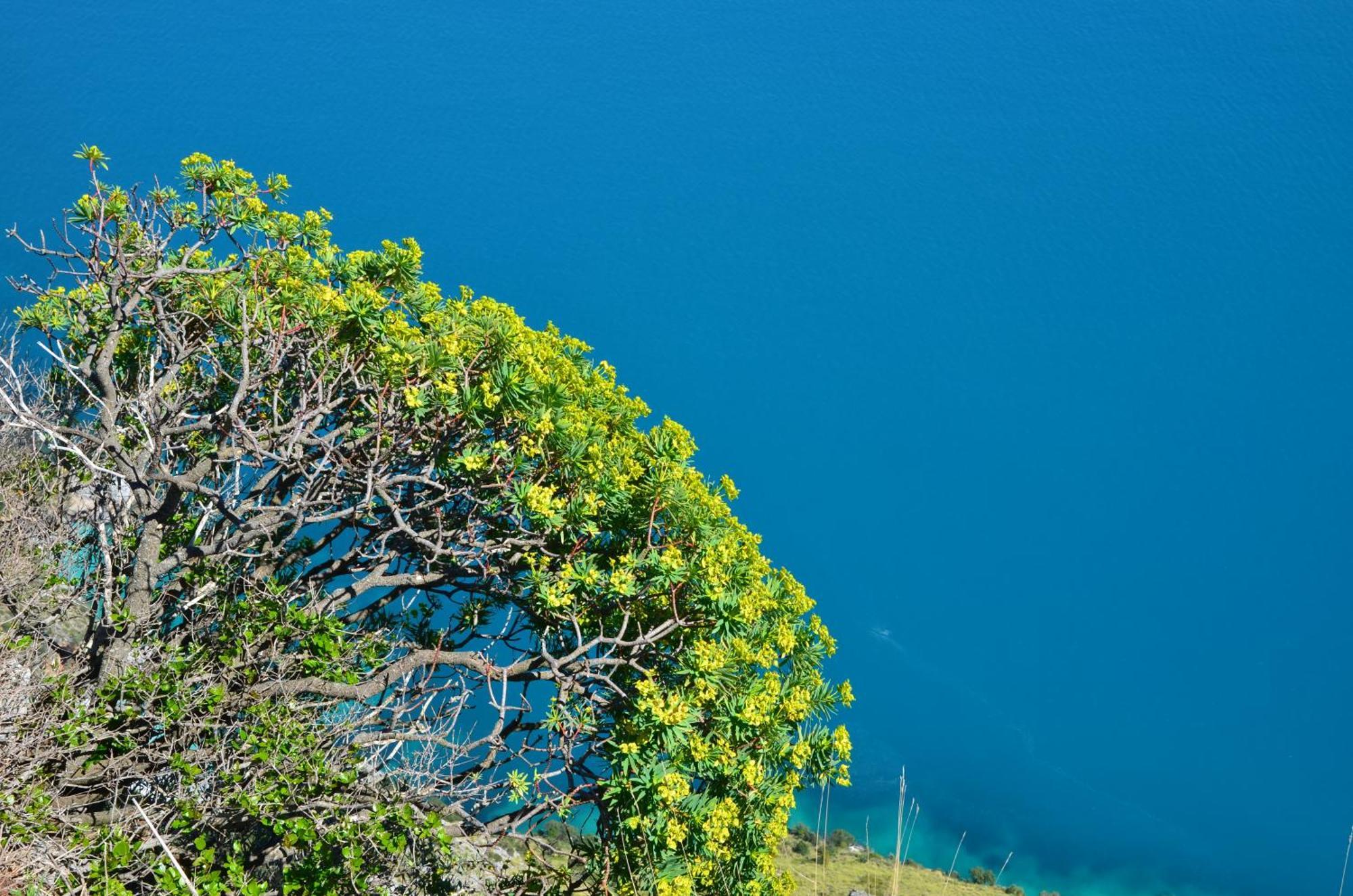 Tre Borghi Βίλα San Giovanni a Piro Εξωτερικό φωτογραφία
